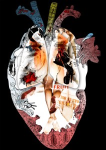 plasticforSeb2 plasticforSeb2