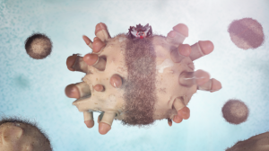 VIDEOALL_01064 VIDEOALL_01064