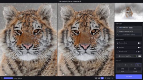 Topaz Creative Tools, Topaz Photo AI