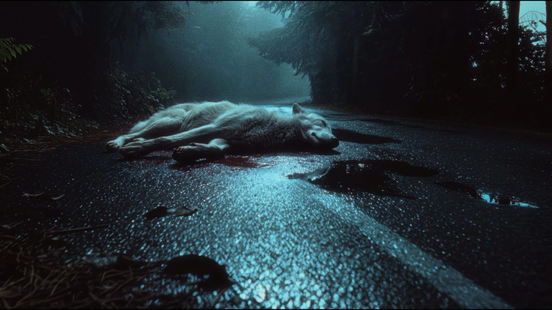 Adult Content and AI: Why OpenAI's Policy Shift Is a Game-Changer for Creatives