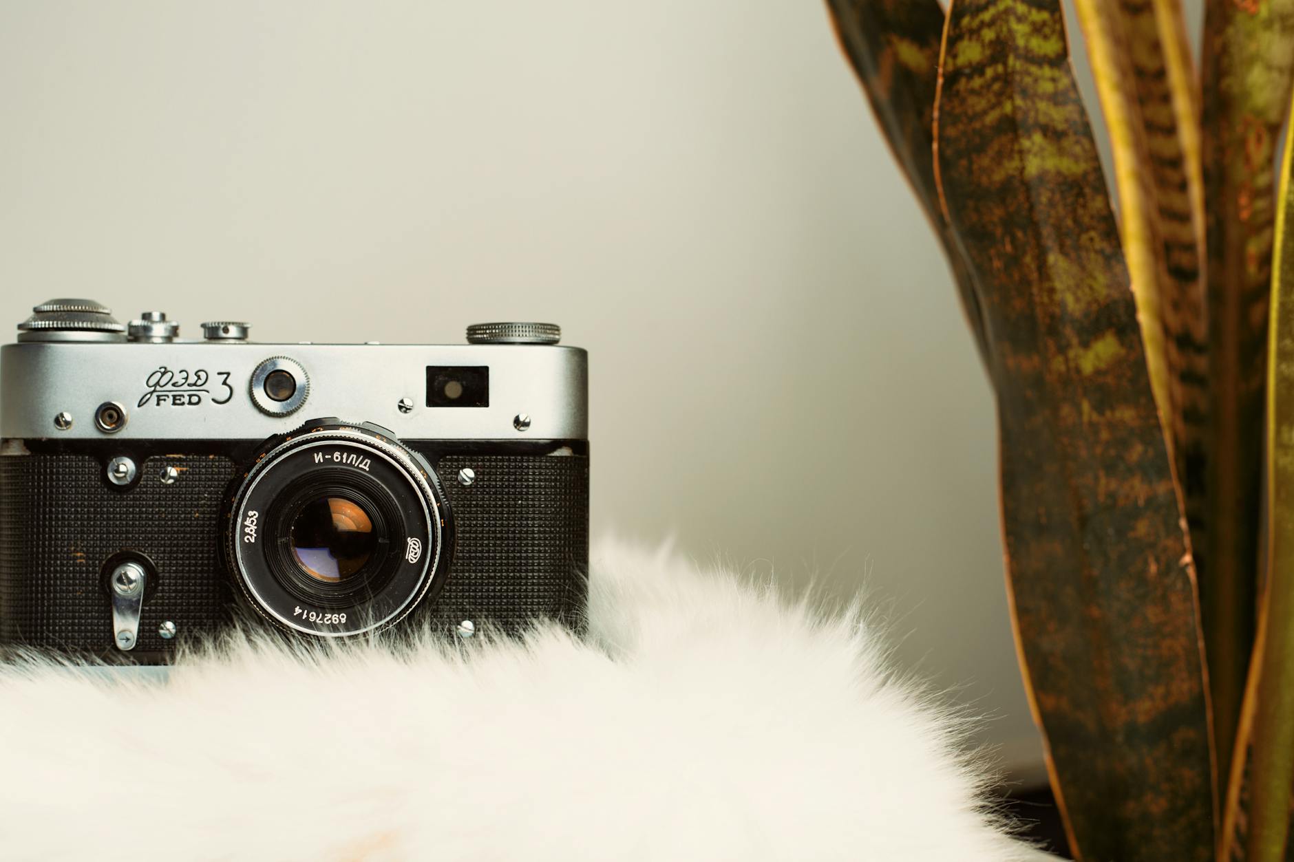 3 Million Photos Deleted: Eye-Opening Facial Recognition AI 9 facial recognition - Classic FED 3 vintage camera with a retro feel placed on a soft, furry surface.