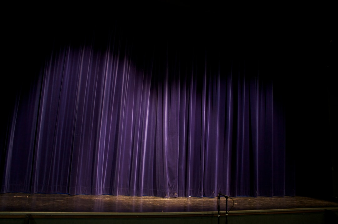 This image shows a dark theater stage with closed purple curtains and microphone stands at the front, suggesting an immi