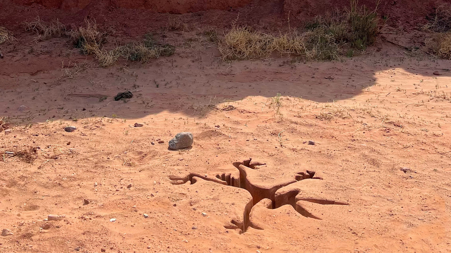 A coyote shaped impression left in the desert sand in Coyote vs. Acme