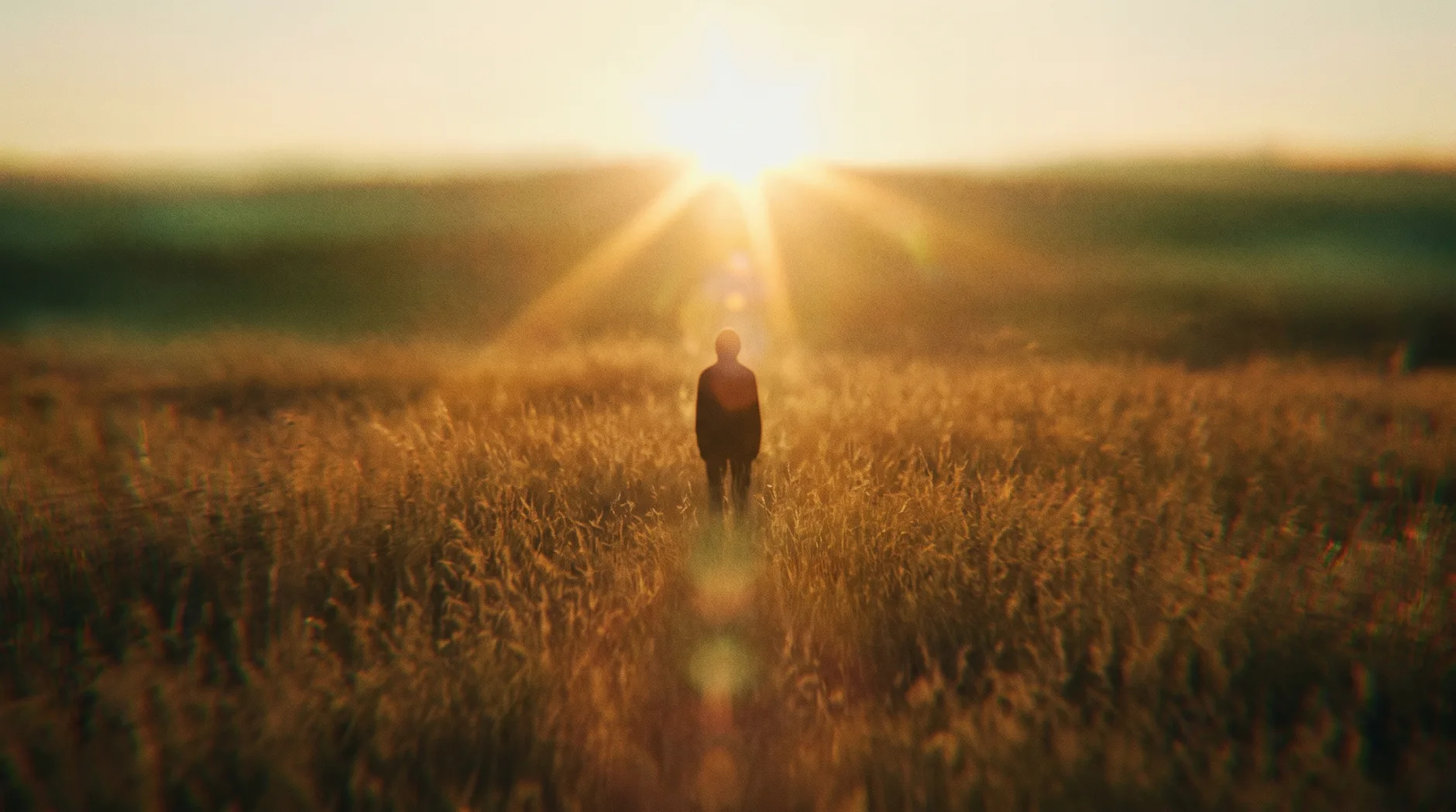 nostalgic bloom, prompt render 1